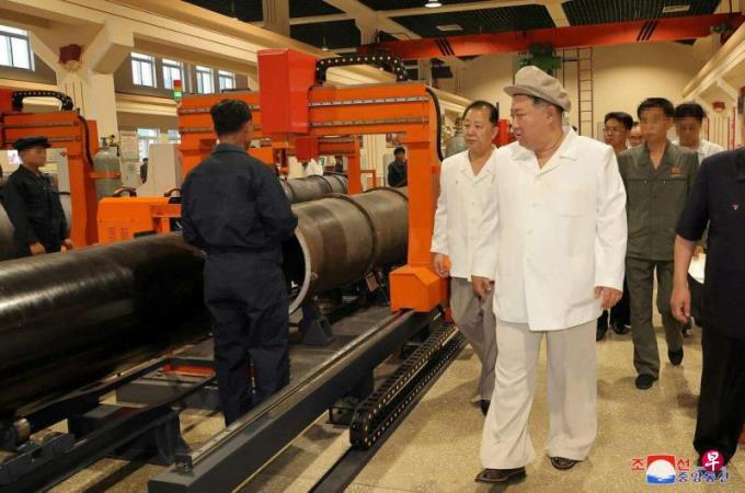 Ҷʤ�ۣ���������ӵ��Ӧ�����Ʋ�