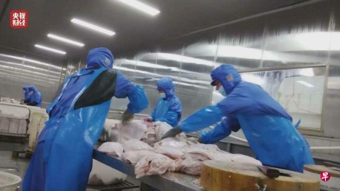 315晚会揭食安问题:淋巴肉制作梅菜扣肉等预制菜