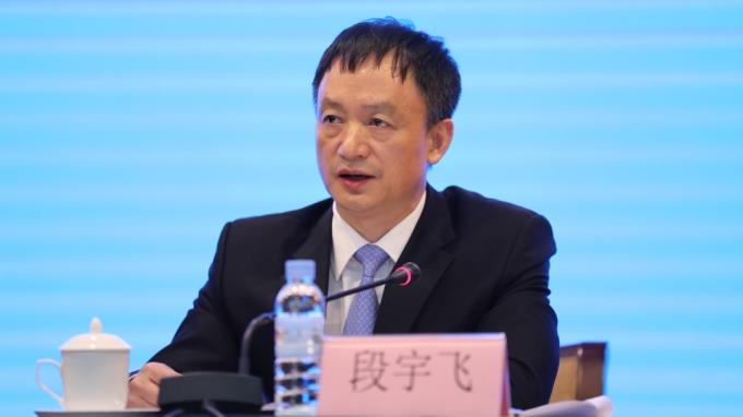 段宇飞,被查
