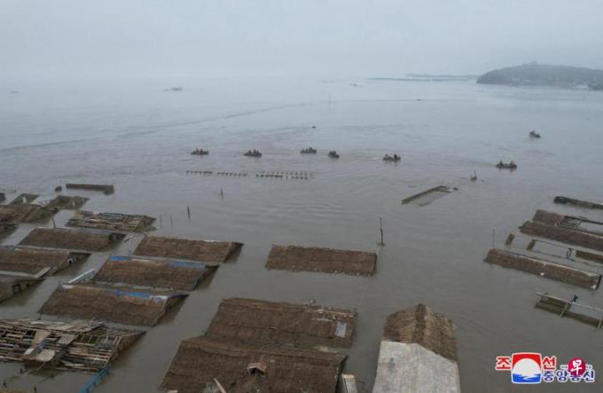 ������ָ��ý���쳯�ʺ�����������