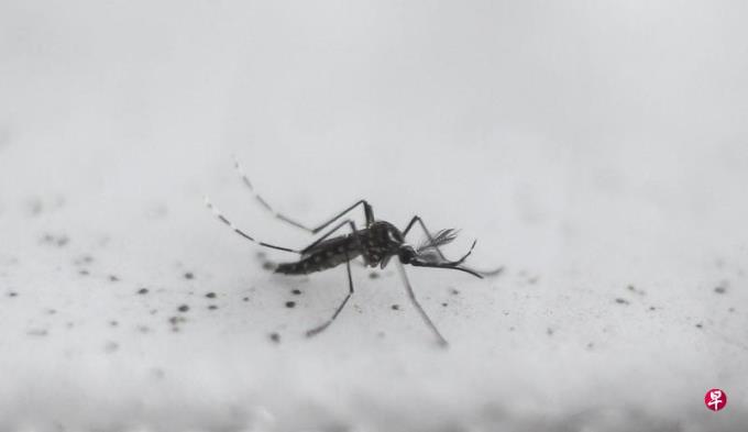 柬埔寨去年近2万起骨痛热症病例 比前年下降46%