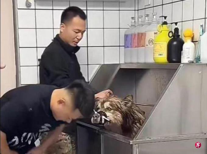 ����죺ǧ�����쿿Ű�����ң�