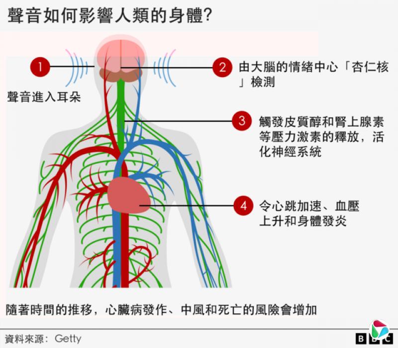 声音如何影响人类的身体?1 声音进入耳朵 2 由大脑的情绪中心“杏仁核”检测 3 触发皮质醇和肾上腺素等压力激素的释放,活化神经系统 4 令心跳加速、血压上升和身体发炎,随着时间的推移,心脏病发作、中风和死亡的风险会增加