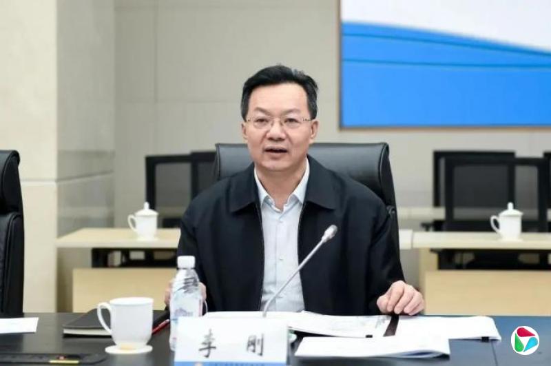李刚,被双开