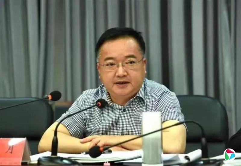 李明月,被查