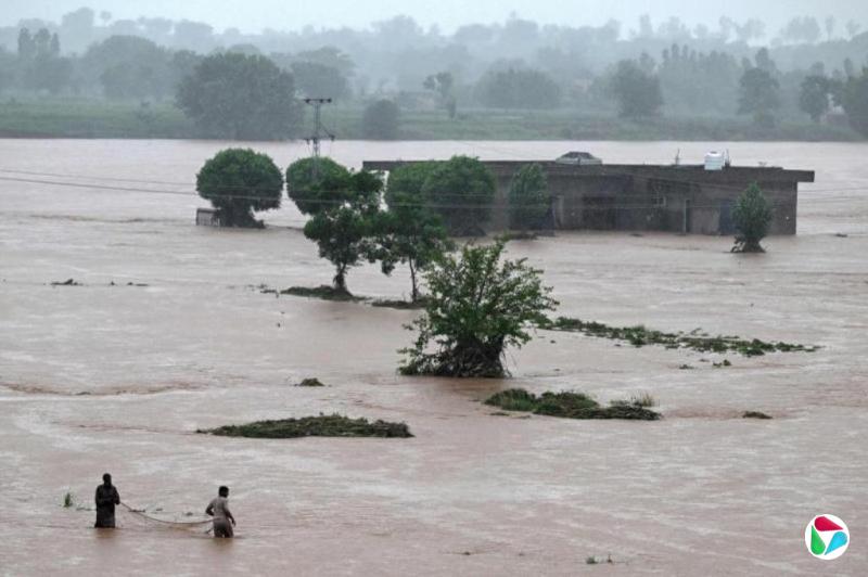 巴基斯坦暴雨成灾 至今已致300多人死亡