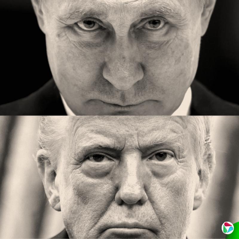 ���ž����������վ�����������д��Ƭ
