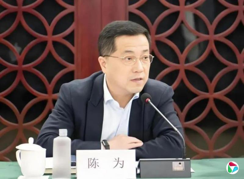 陈为被查