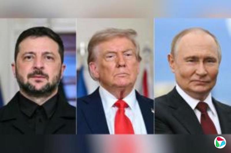 �й��⽻��ָ�з�Ը�����ڿ�������ά�Ͳ��ӱ�������ʵ