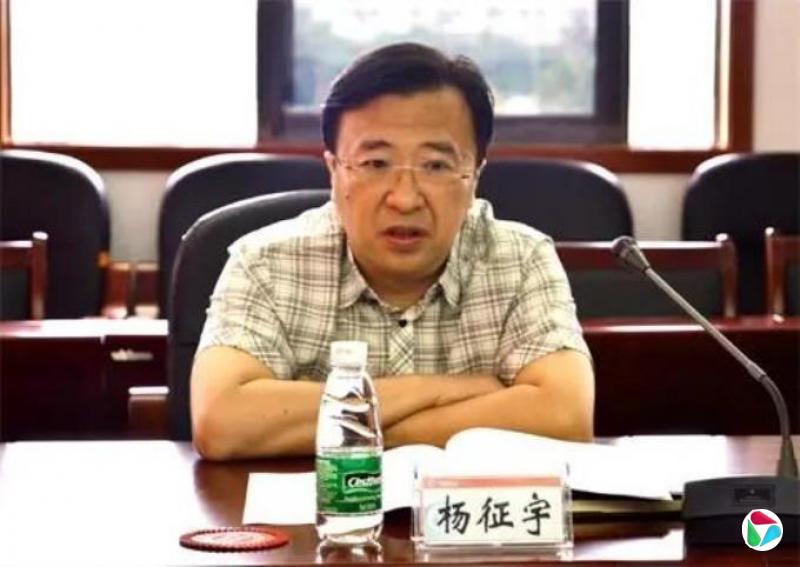 杨征宇,被查
