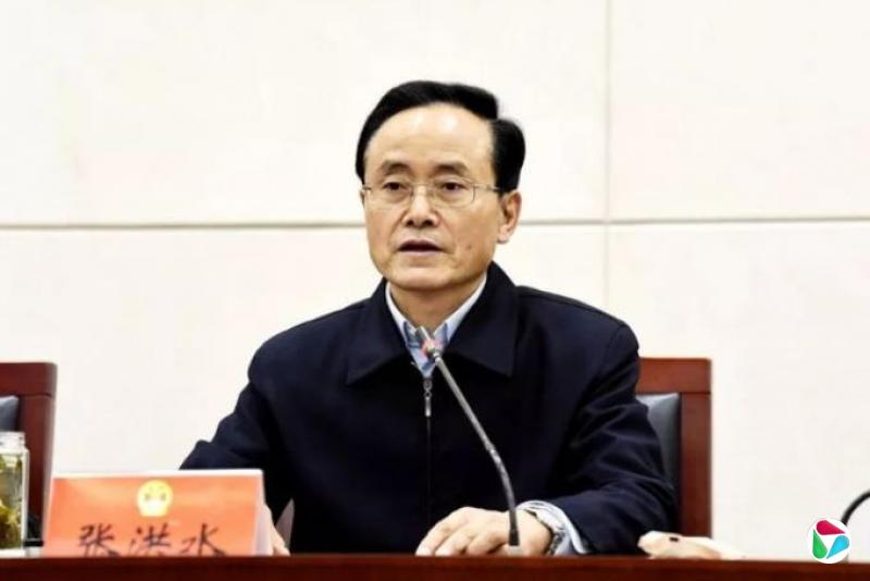 张洪水,被查