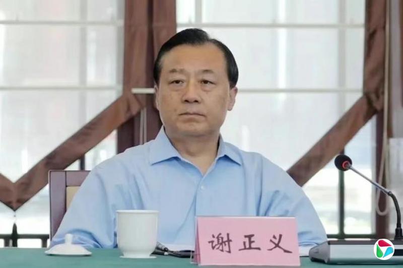 谢正义,被查