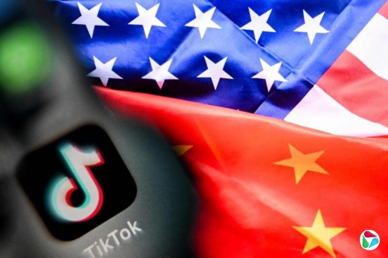 TikTok������ϸ�� �����������
