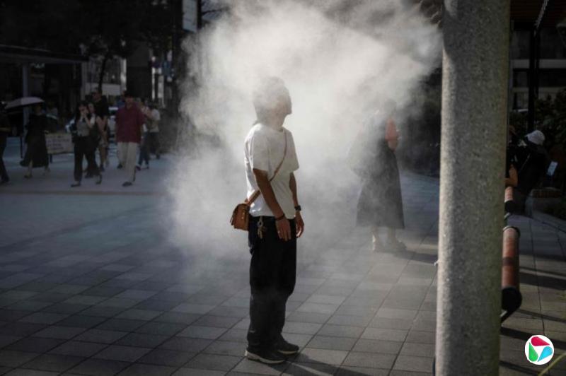 研究:每年有近55万人因高温天气身亡