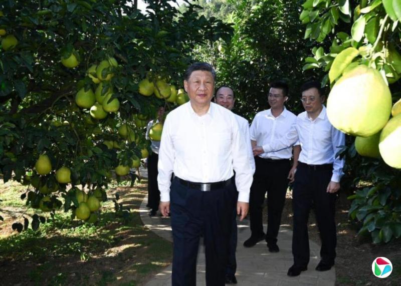习近平考察广东 吁打造党性过硬干部队伍推进反腐