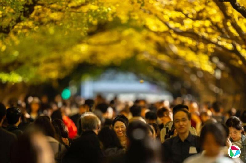 中日关系紧张 约50万中国旅客取消赴日旅行