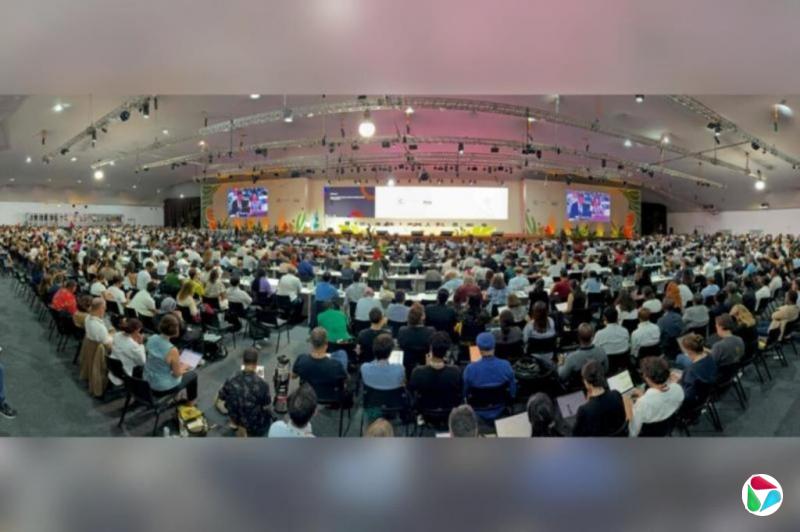 COP30通过折中气候协议 未包含化石燃料条款