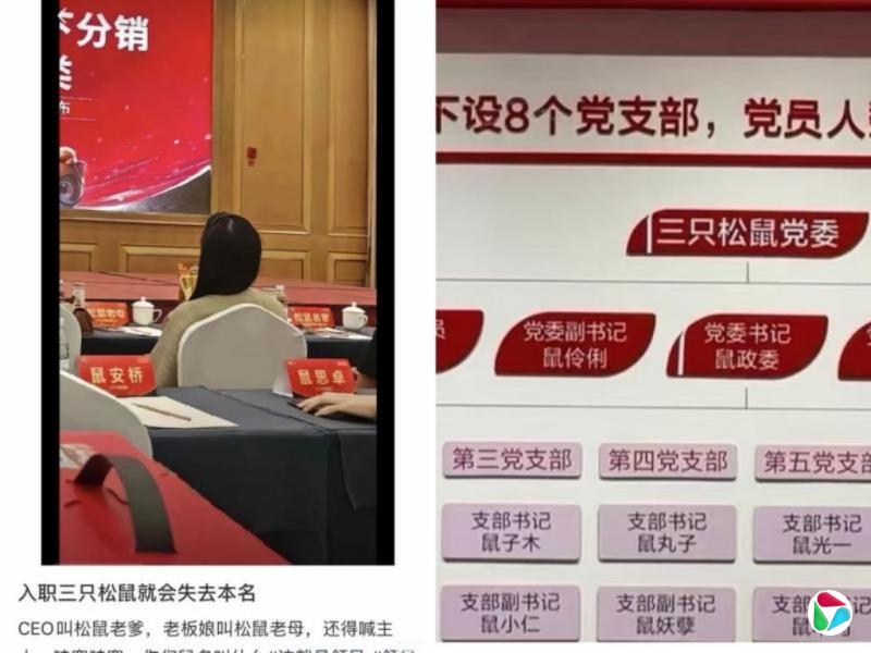 入职三只松鼠需改成带“鼠某某”引矮化员工批评
