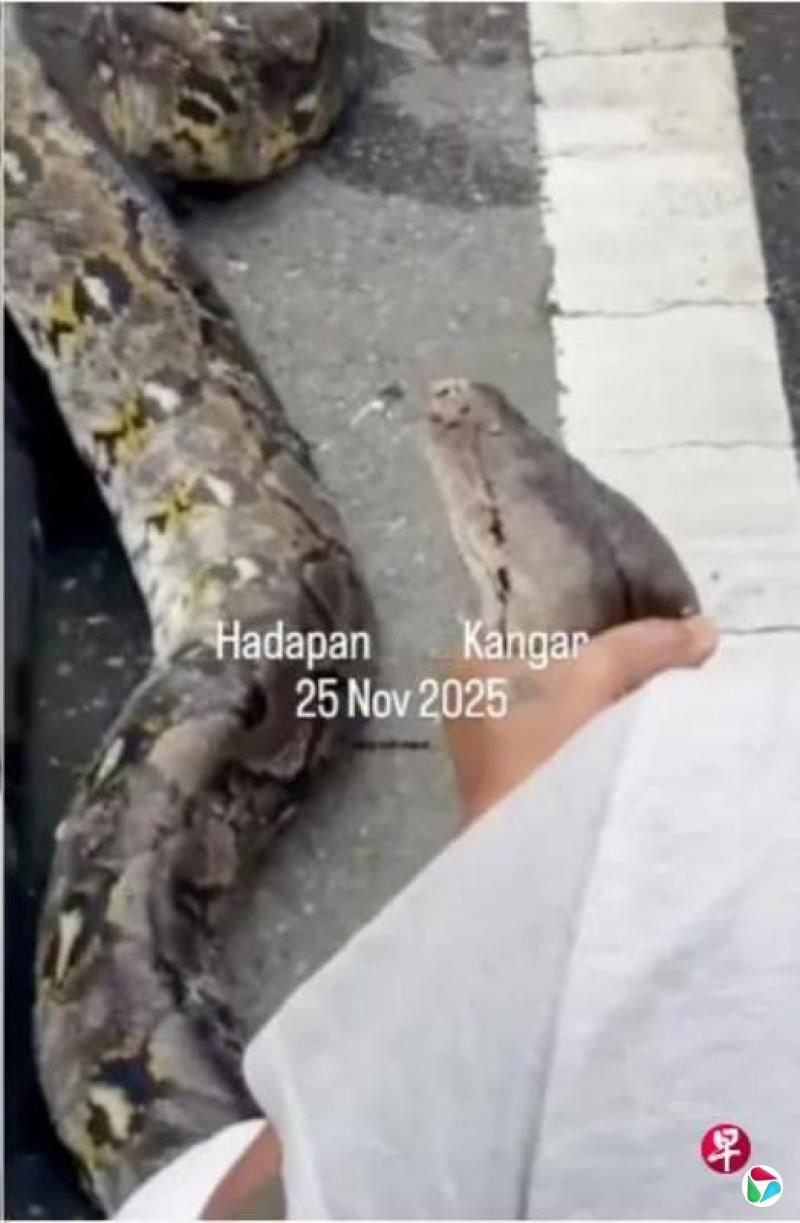 ����ˮ�־����߻� ����ӻ�43��׽��ͨ��