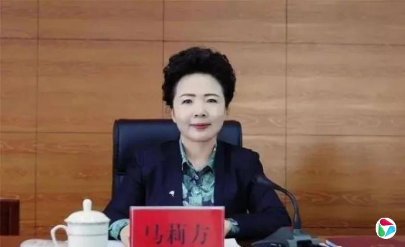 副厅长马莉方,被查