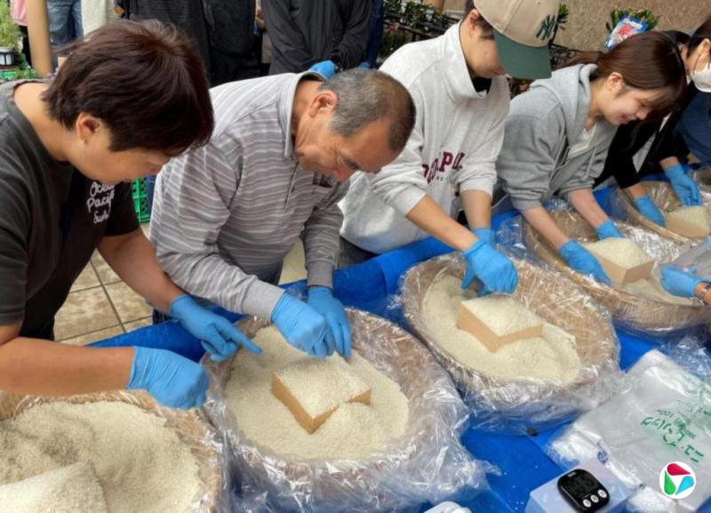 调查:日本人买不起米 改吃面包面条