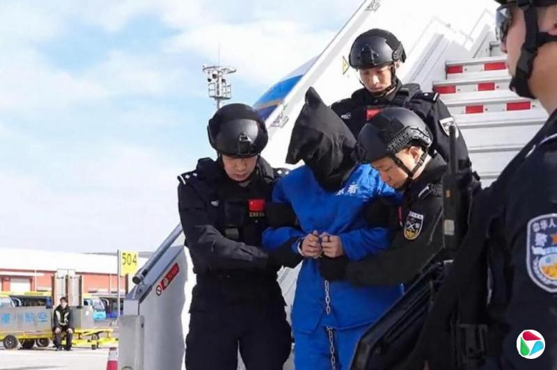 下午察:“电诈之王”陈志的中国往事