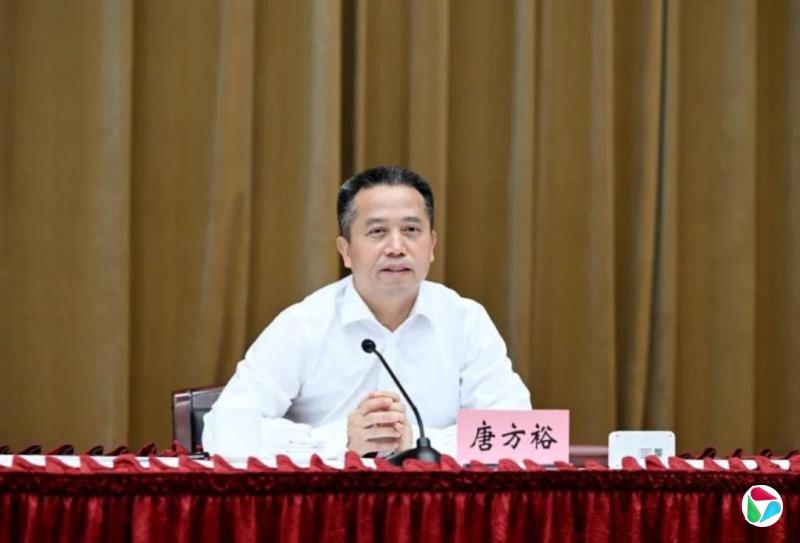 唐方裕已出任中共中央政策研究室主任