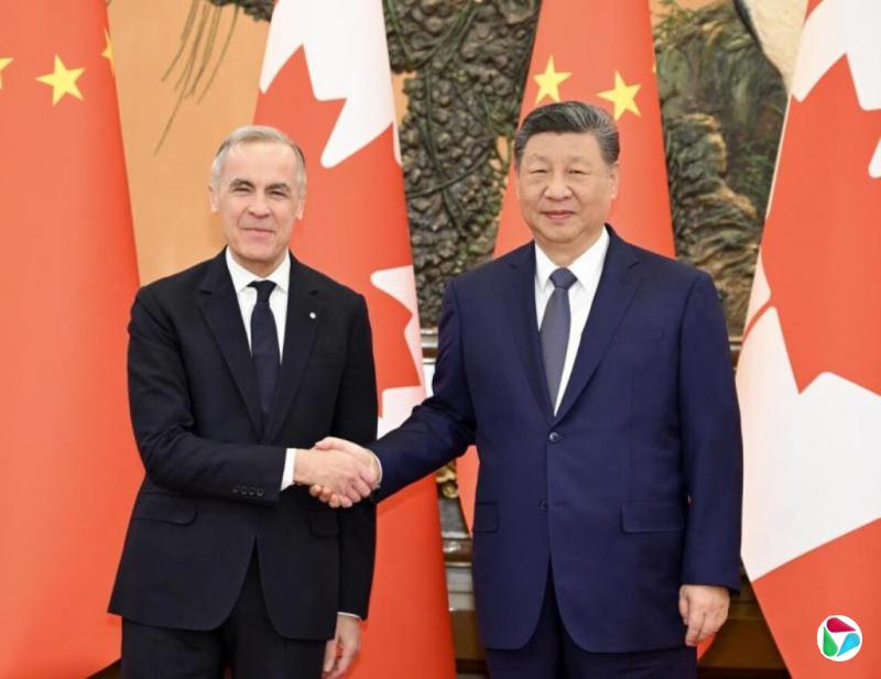 加拿大和中国达成“电动车换油菜籽”互降关税初步协议