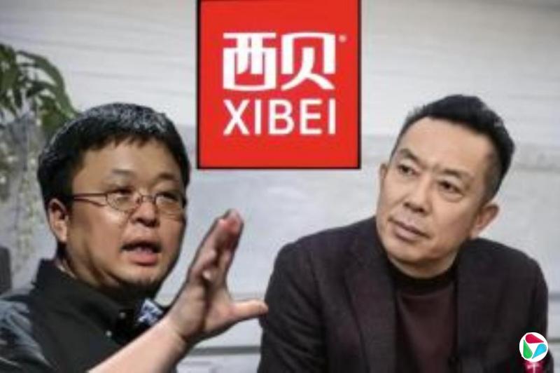 罗永浩713万人民币股权被冻结