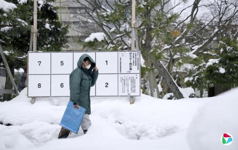 日本民调:自民党议席有望大幅增加甚至单独过半