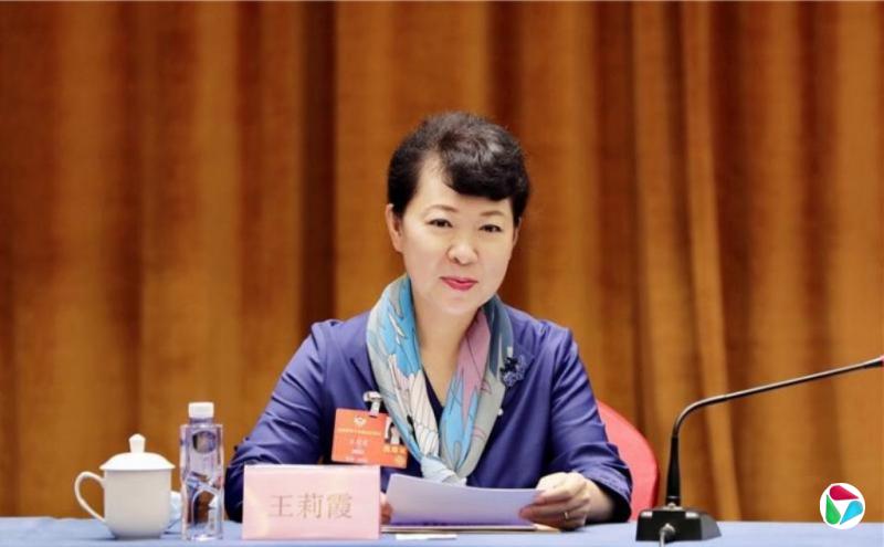 内蒙古自治区原主席王莉霞被“双开”