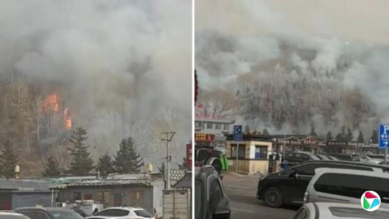 山西佛教圣地五台山发生山火 未造成人员伤亡