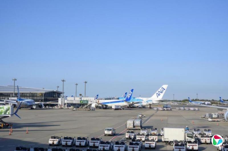 日本拟规定 航司须拒绝未持合法许可者登机