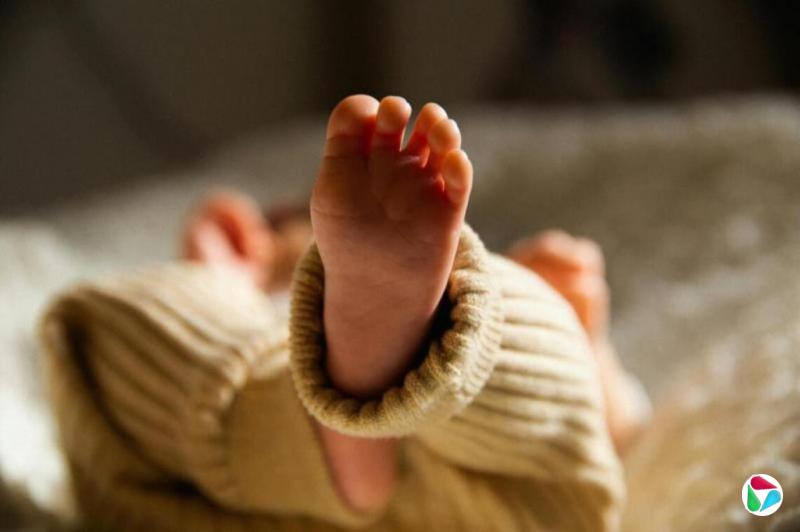 �ձ�������������ʮ�괴�µ� δ���Ͷ���ȱ�ڻ�����