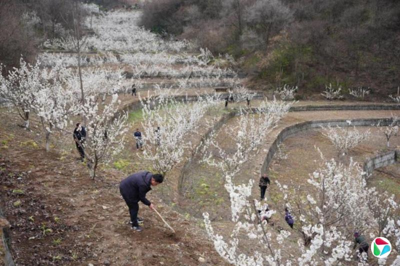 中国人大代表建议大幅提高农民养老金