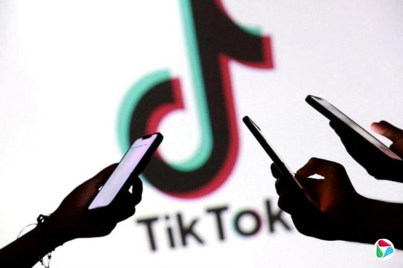 TikTok��׼�ڼ��ô������Ӫ