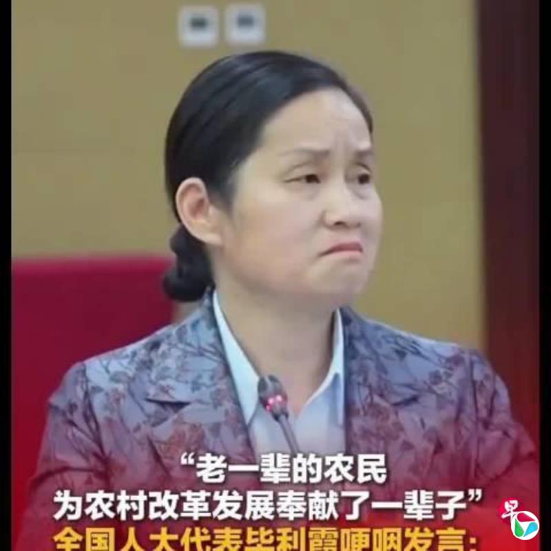 中国全国人大代表哽咽建议 提升农村70岁以上老人养老金