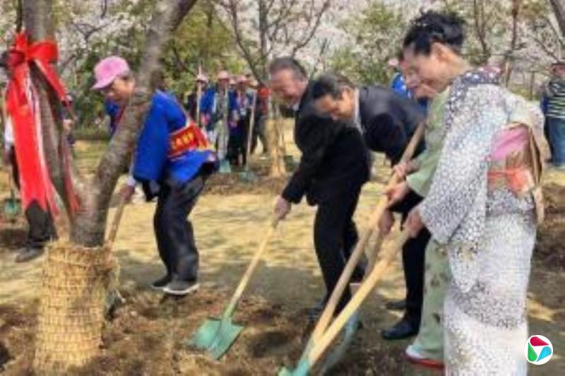 江苏无锡一日本风情街拆了日式装置