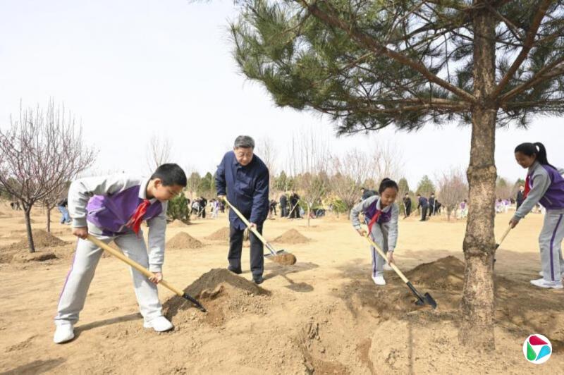习近平与六位中共政治局常委参加植树活动