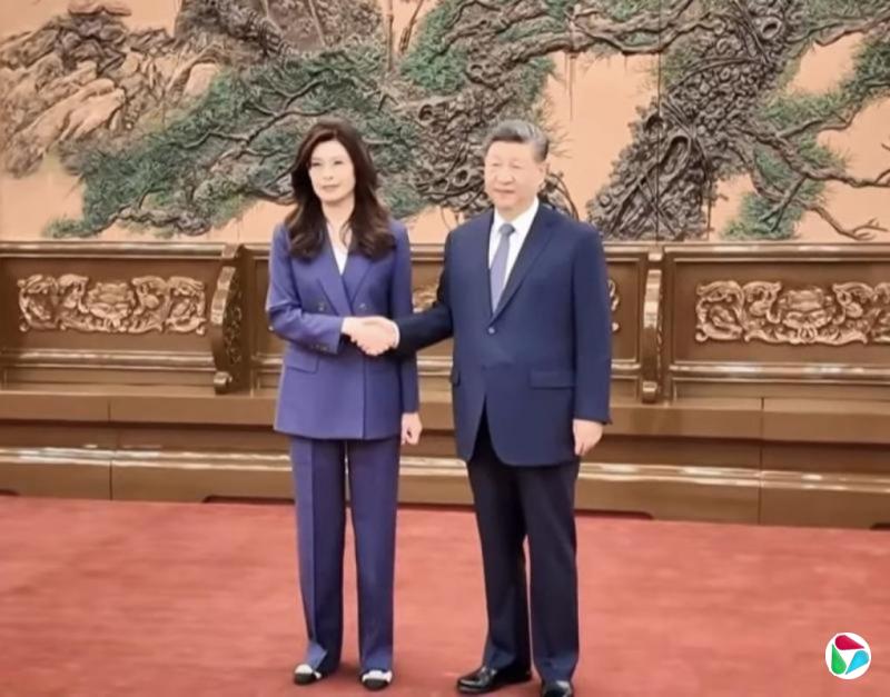 习近平会见郑丽文 两人握手14秒