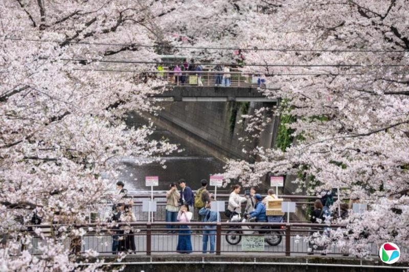 53条中日航线3月取消全部航班 环比增1.1%