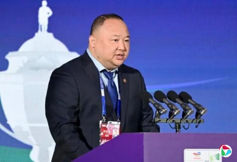 中国羽协主席张军任上落马