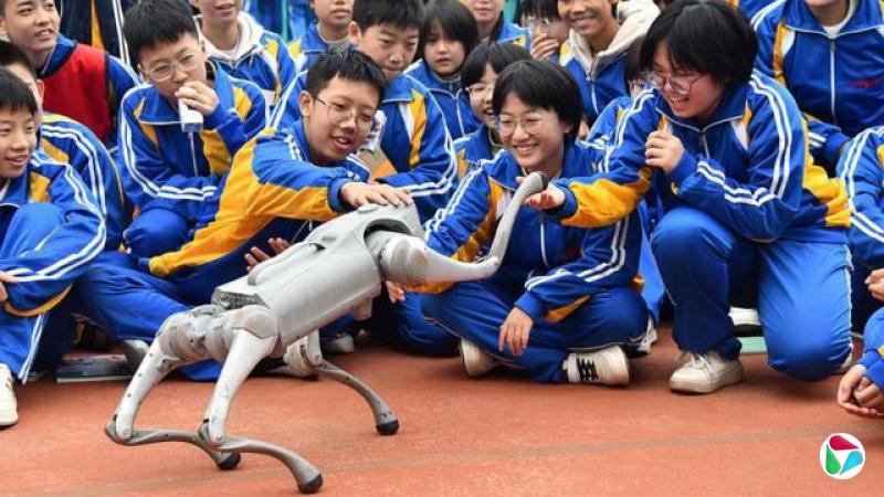 体验机器狗的学生