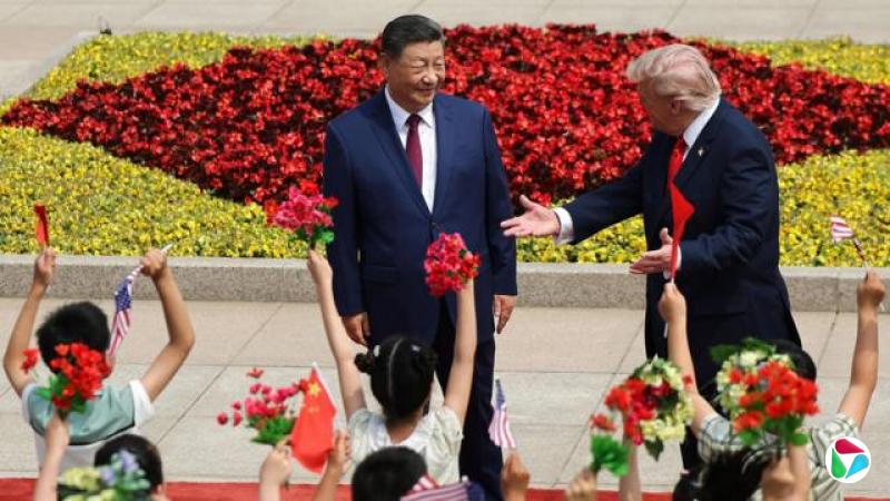儿童在和特朗普面前挥舞旗帜和鲜花,并举起手臂。中国领导人和特朗普站在红地毯上,特朗普向孩子们打手势。