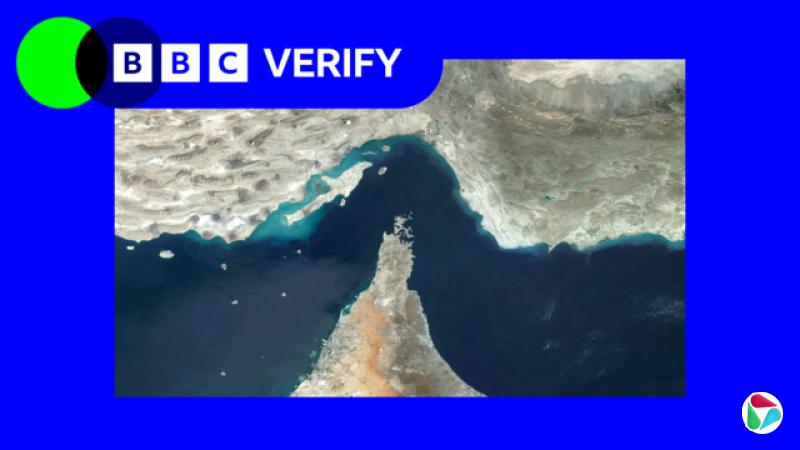 ����BBC Verify��ʶ�Ļ���ľ�Ⱥ�Ͽ����ͼ��