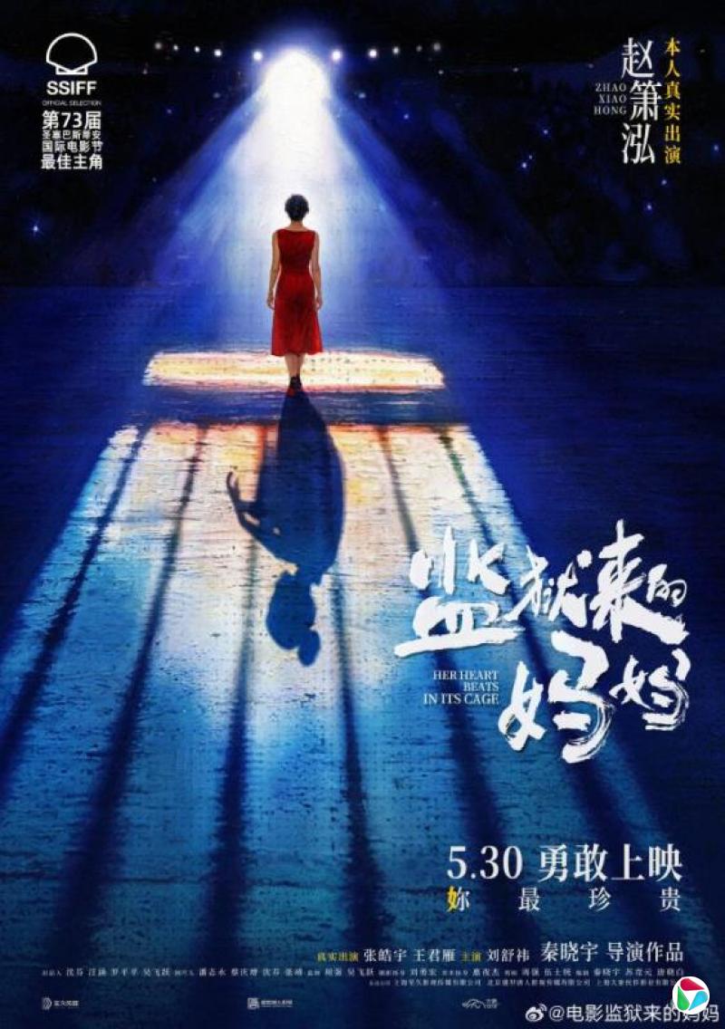 上海电影局:停止《监狱来的妈妈》上映