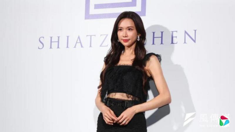为避免更多揣测及误解 林志玲拒任台文策院董事