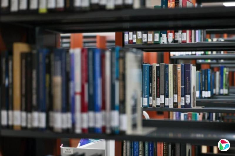 王昌伟:AI时代与大学的人文教育
