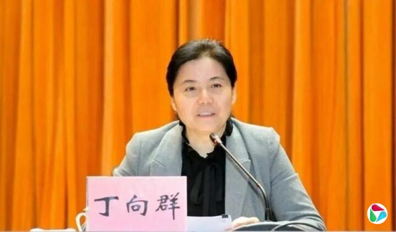 丁向群获任命中国国家金融监督管理总局局长