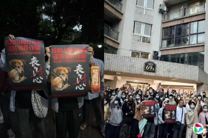 重庆“山姆打包哥”被爆虐待领养猫狗引发聚集 警方调查